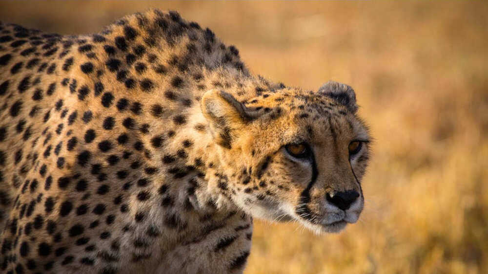 قسمت 1